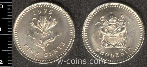 Монета Зімбабве 5 центів 1975