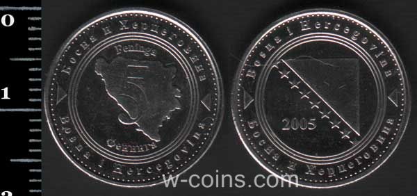 Монета Боснія і Герцеґовина 5 пфенігів 2005
