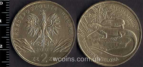 Монета Польща 2 злотих 2009 Ящірка зелена