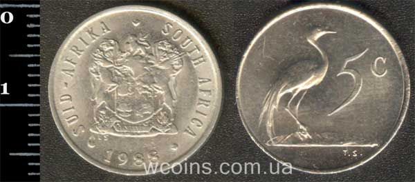 Coin South Africa 5 cents 1988