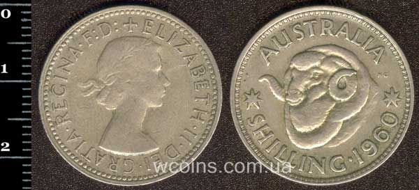 Монета Австралія 1 шилінг 1960