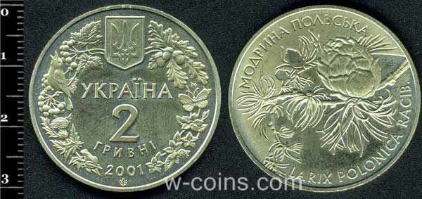 Coin Ukraine 2 hryvni 2001